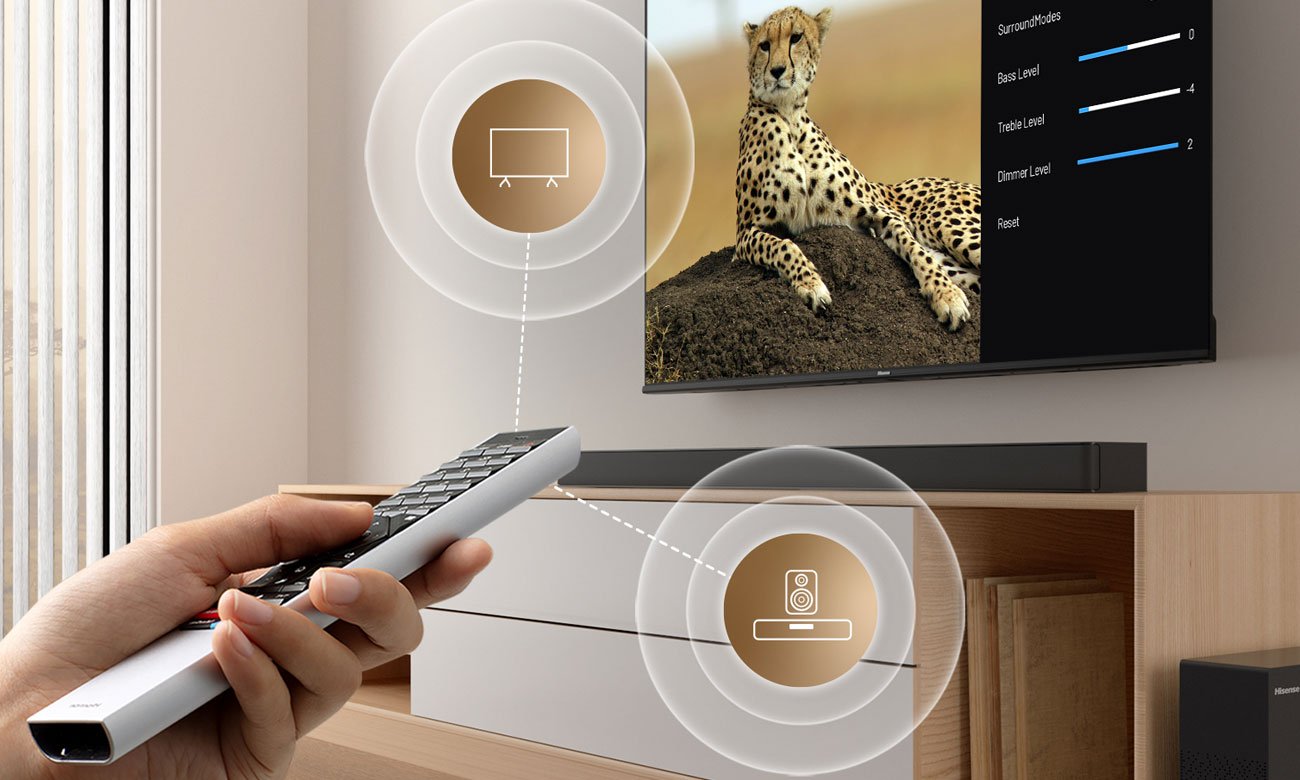 Hisense HS2100