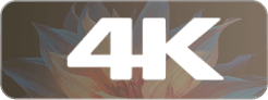 Duży biały napis '4K' wskazujący rozdzielczość na ciemnym tle z rozmyciem kwiatowym.