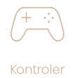 Ikona kontrolera
