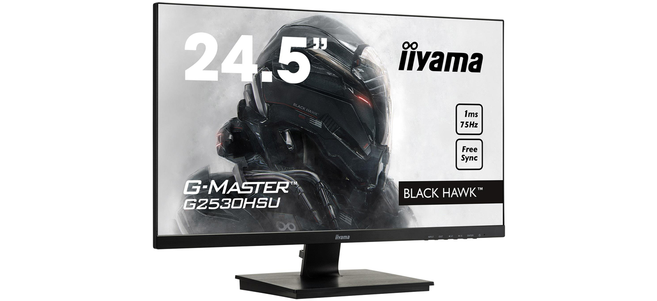 iiyama G-Master G2530HSU Black Hawk Opcje Podłączeń