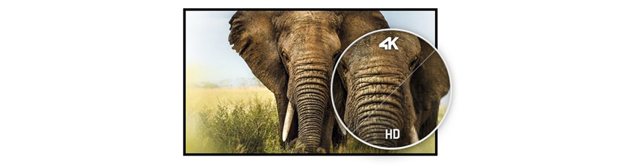 iiyama LE4041UHS Rozdzielczość 4K