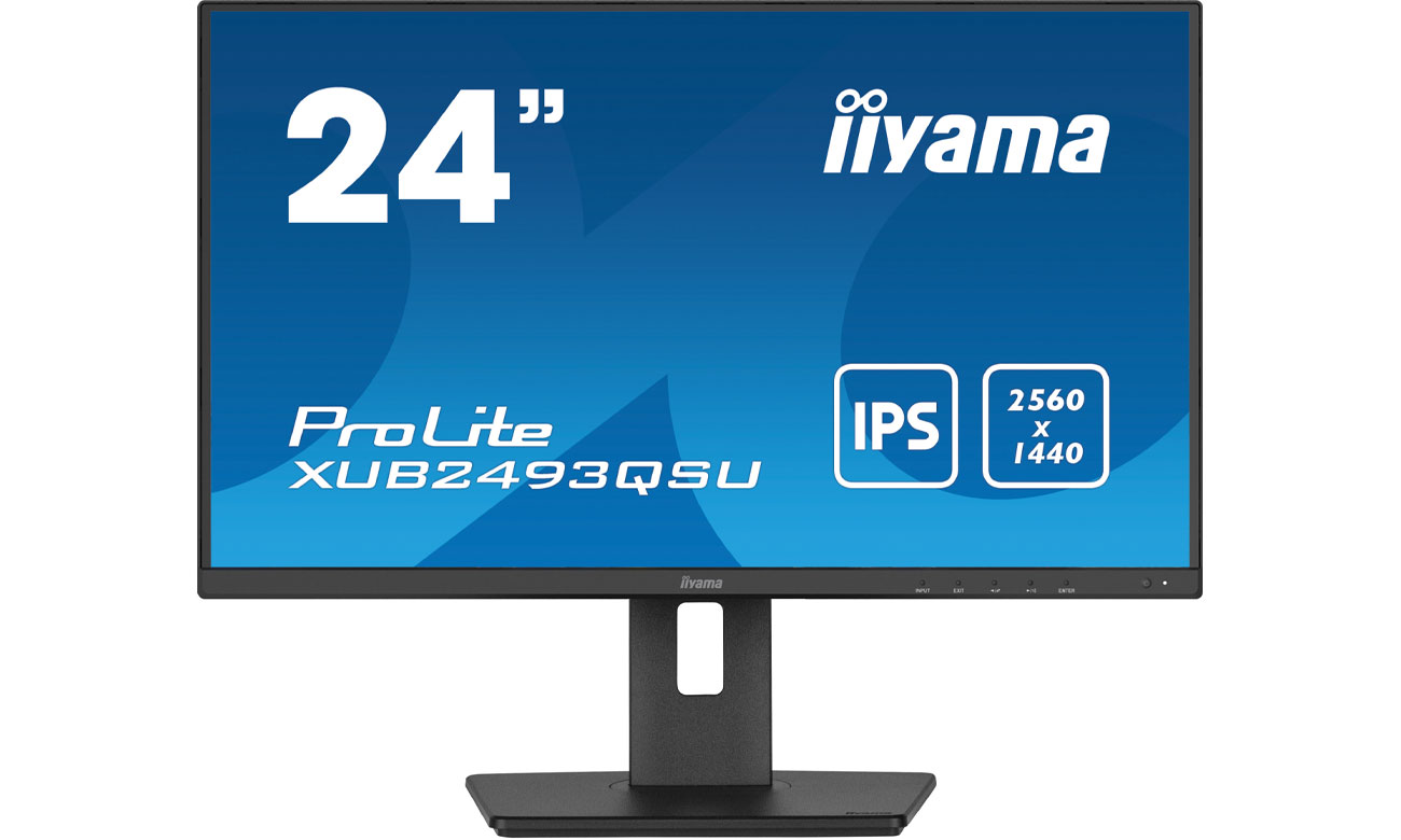 iiyama ProLite XUB2493QSU-B5 matryca IPS