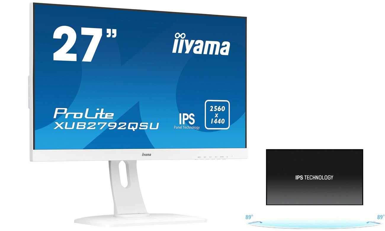 WQHD Z IPS