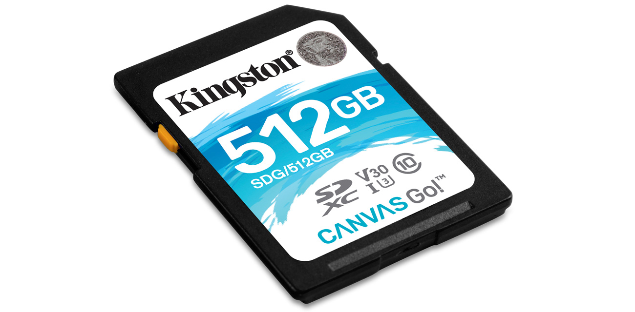 Karta SD Kingston Canvas Go!