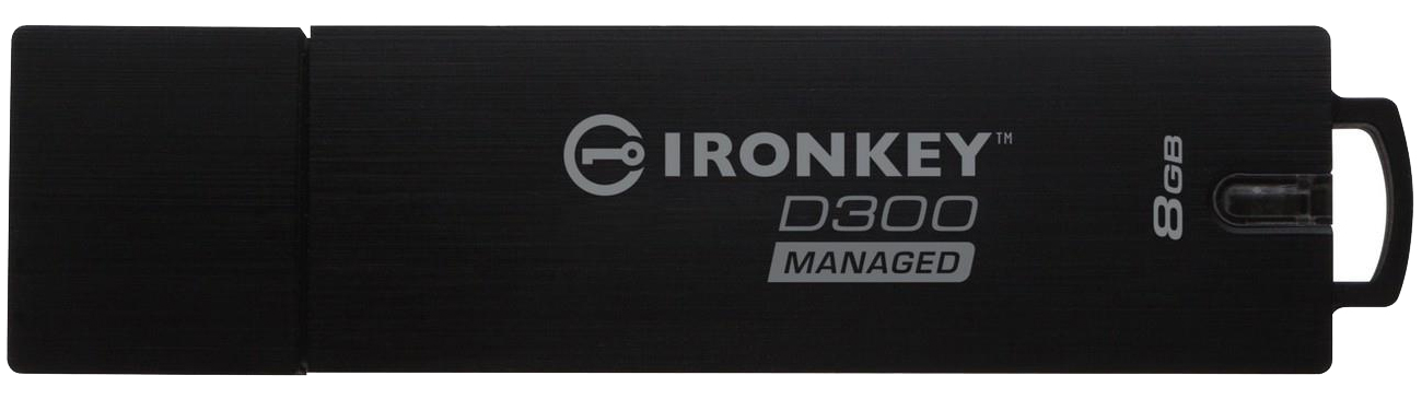 Kingston IKD300M-8GB