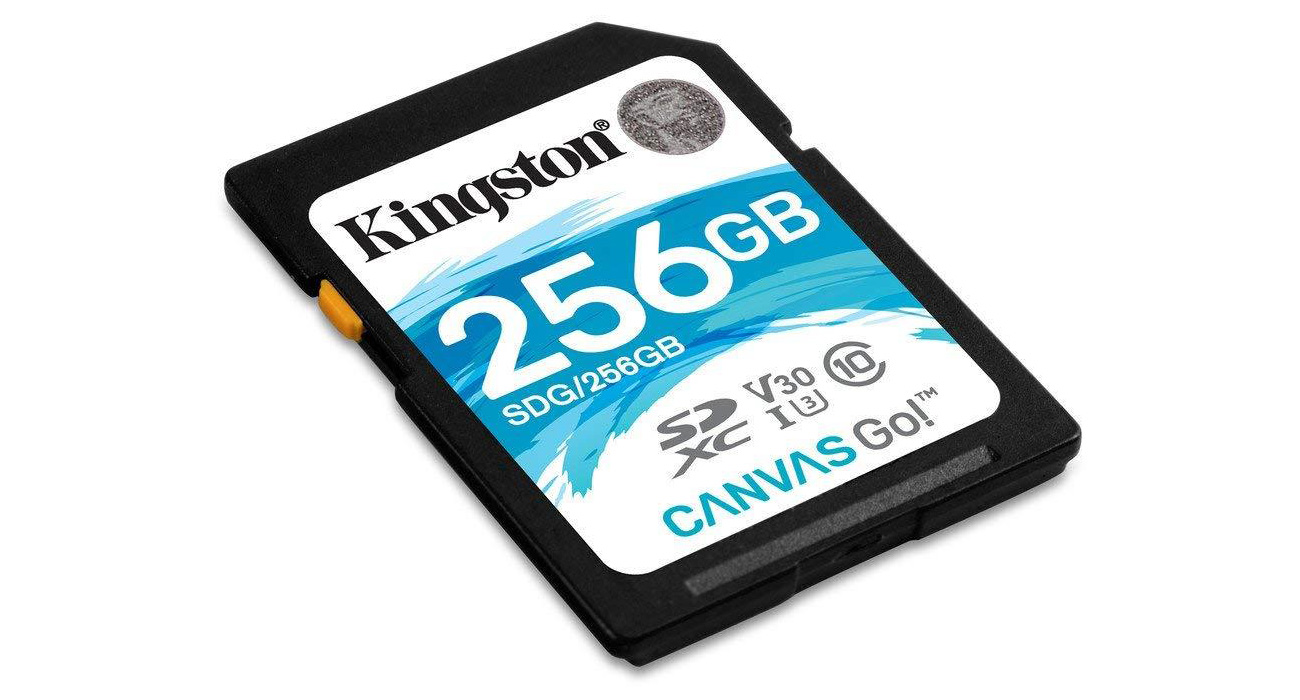 Karta SD Kingston Canvas Go!
