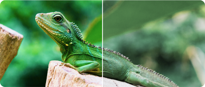 Contrast control image