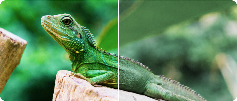 Contrast control image