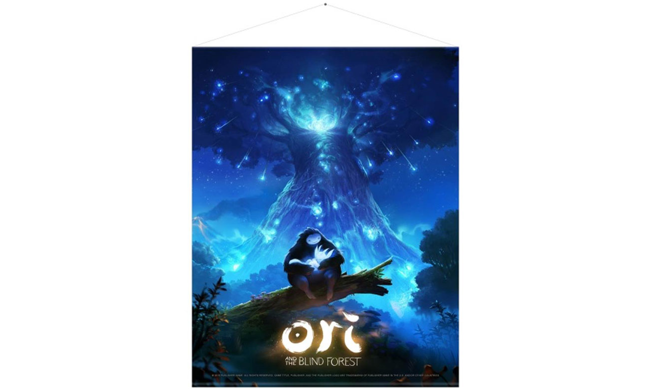Plakat Ori and the Blind Forest - Keyart