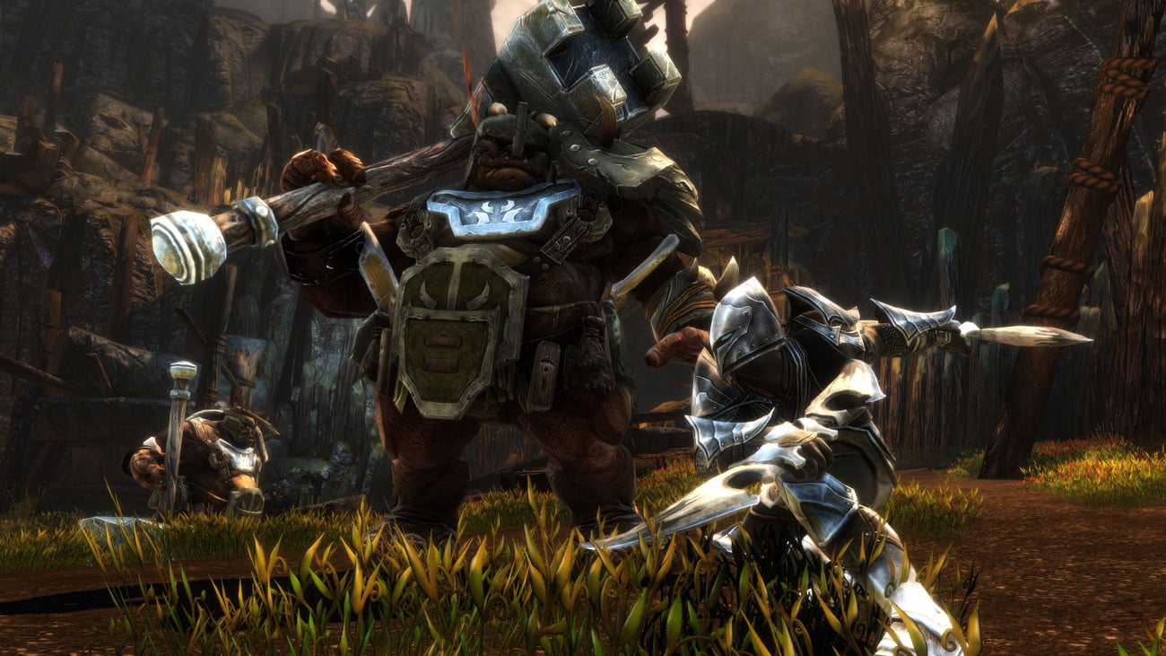 Gra Kingdoms of Amalur Re-Reckoning na komputery PC