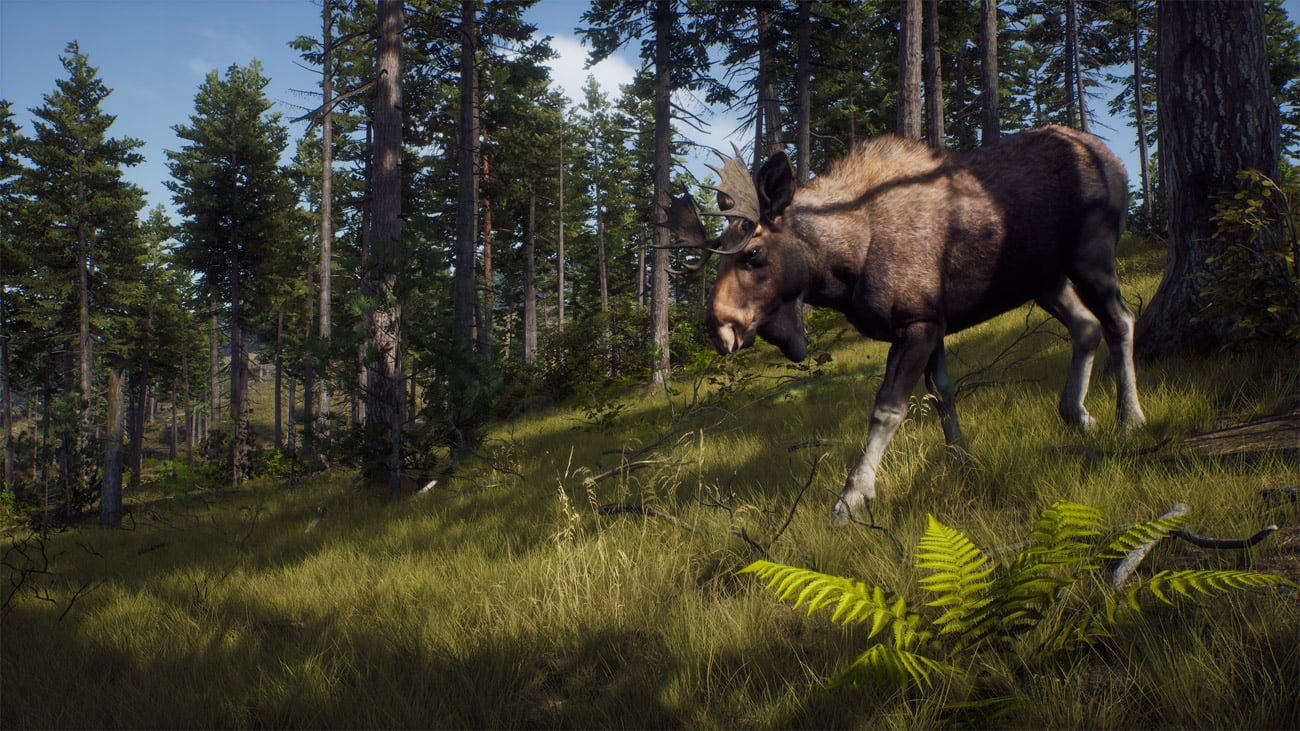 Zrzut ekranu screenshot z gry Way of the Hunter