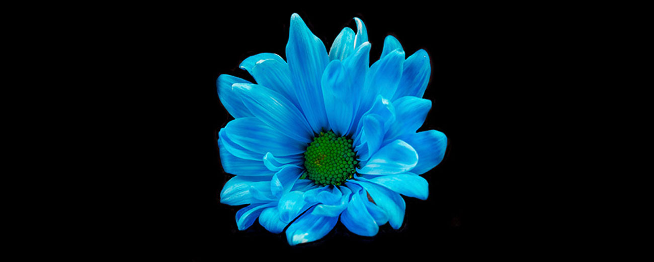 Kodak AZ525 Rozdzielczość 16,3 Mpix