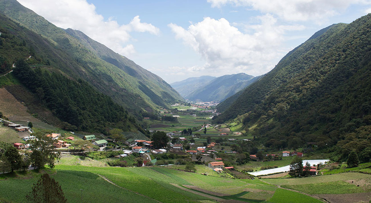 Kodak AZ525 Ogniskowa 24 mm