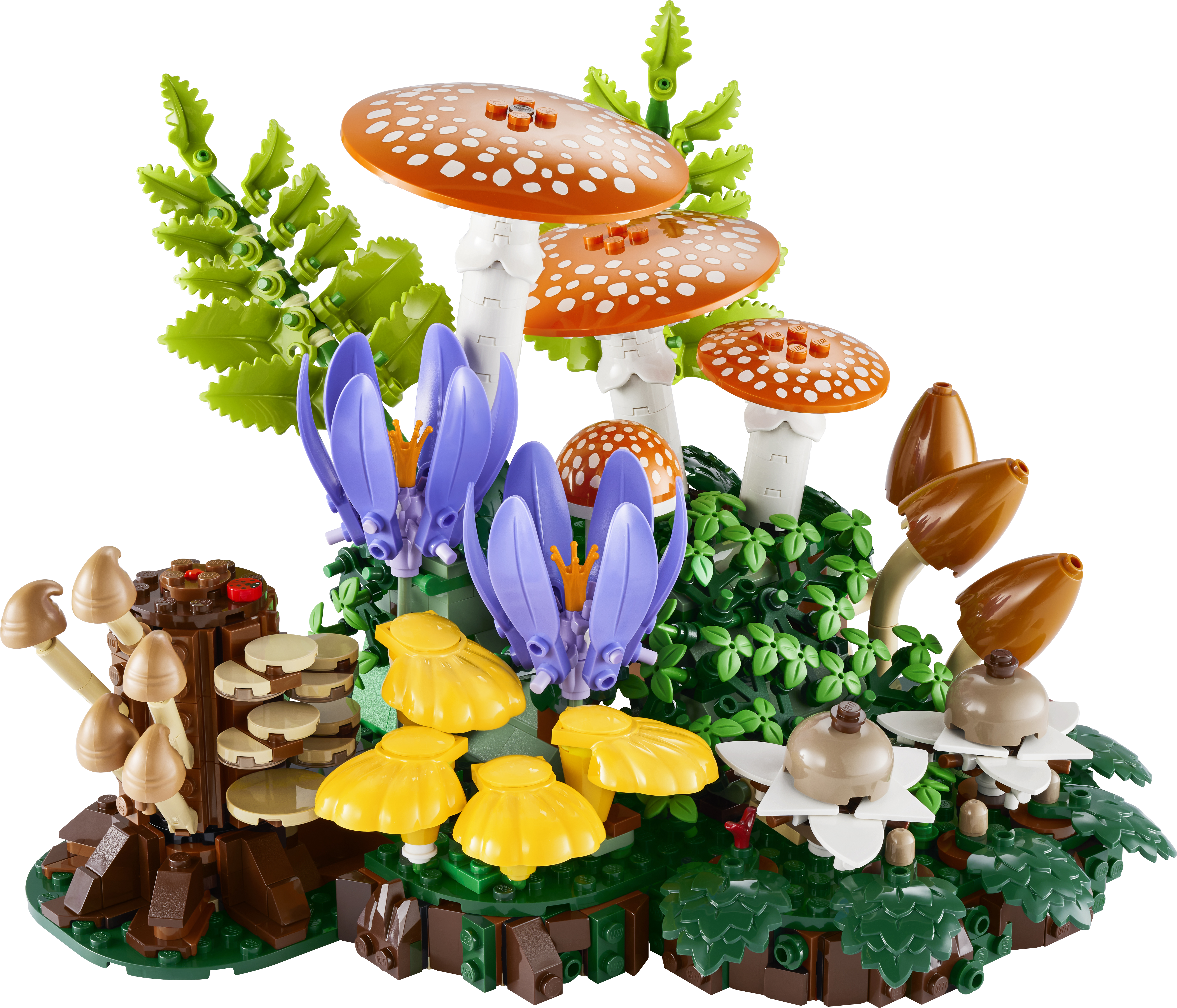 Zestaw konstrukcyjny LEGO® Botanicals Grzyby leśne 11505