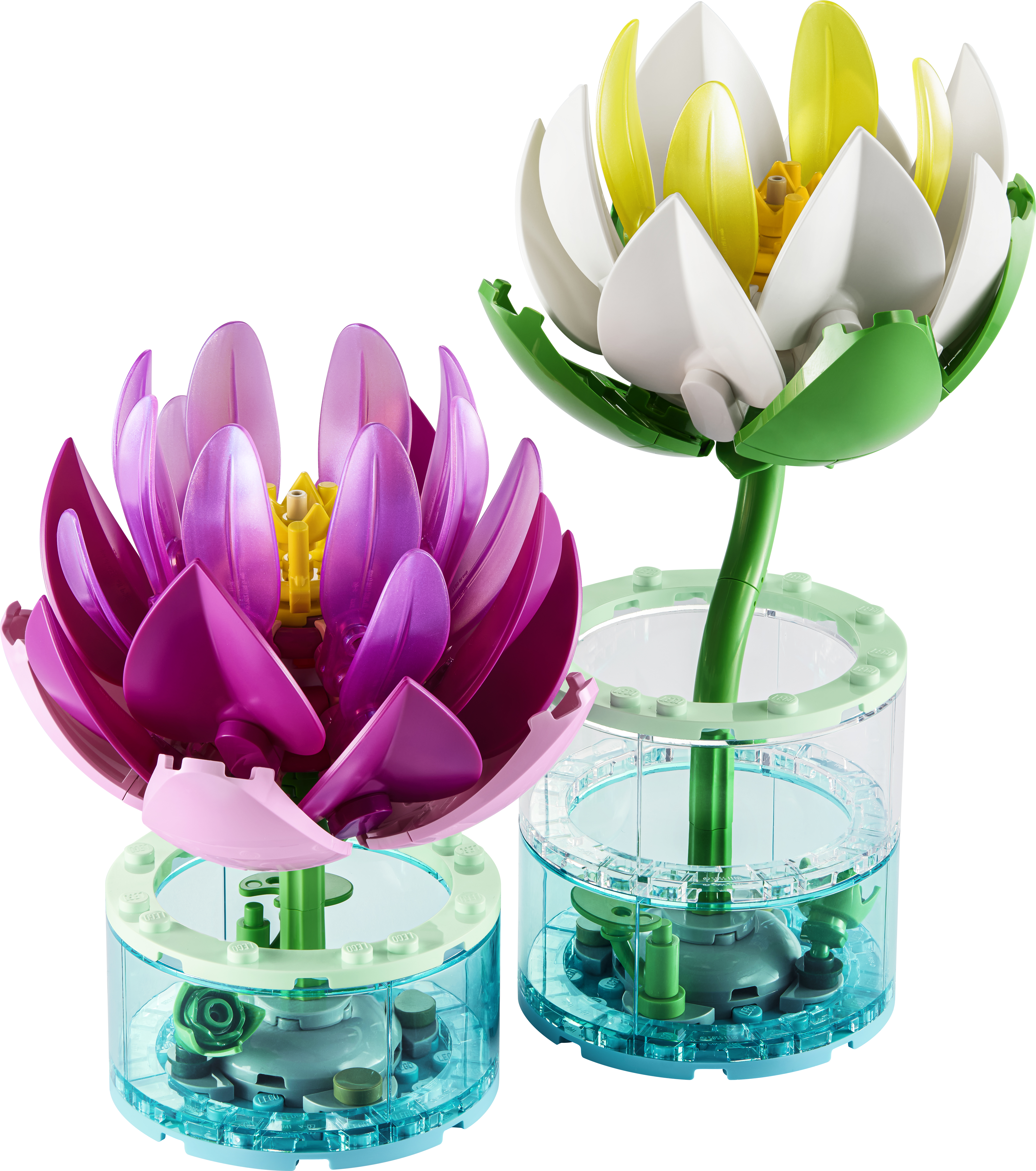 Zestaw konstrukcyjny LEGO® Botanicals Lilie wodne 11511