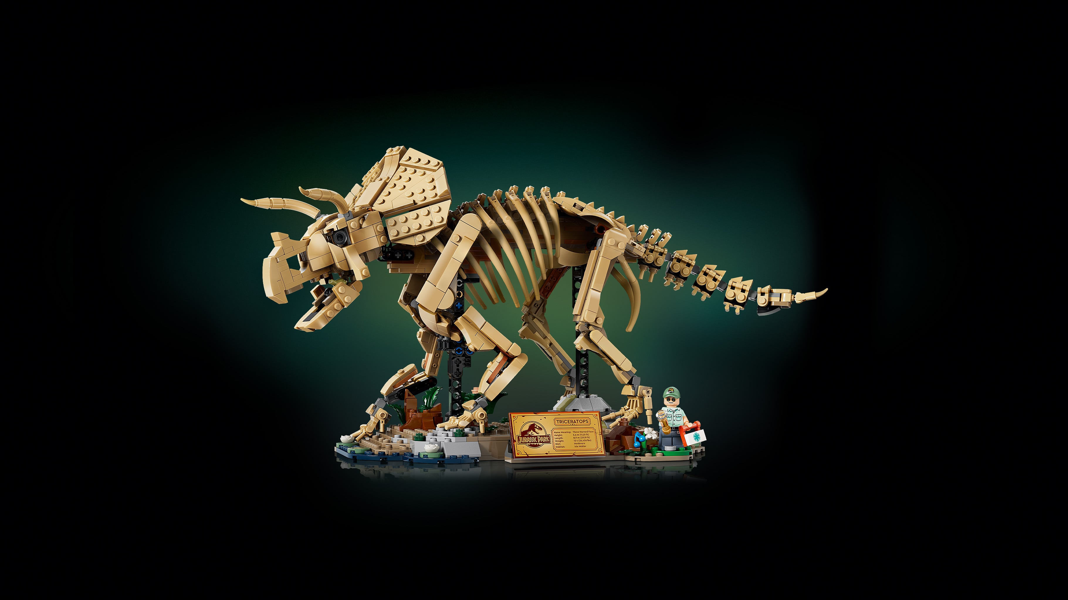 LEGO® Jurassic World Szkielety dinozaurów: triceratops 77985