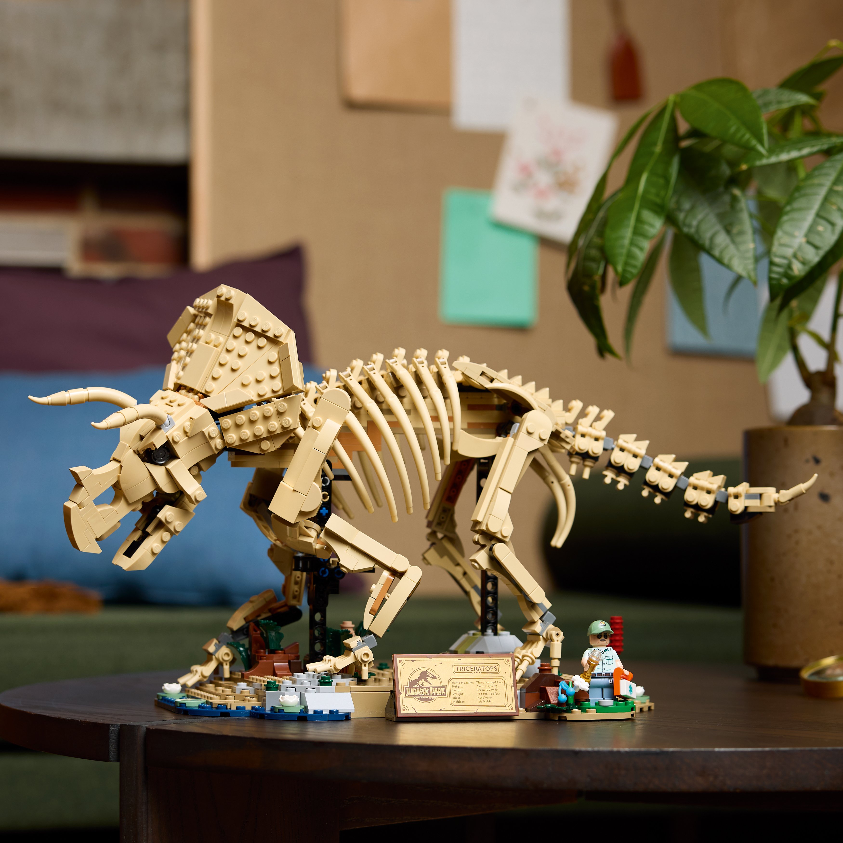 LEGO® Jurassic World Szkielety dinozaurów: triceratops 77985