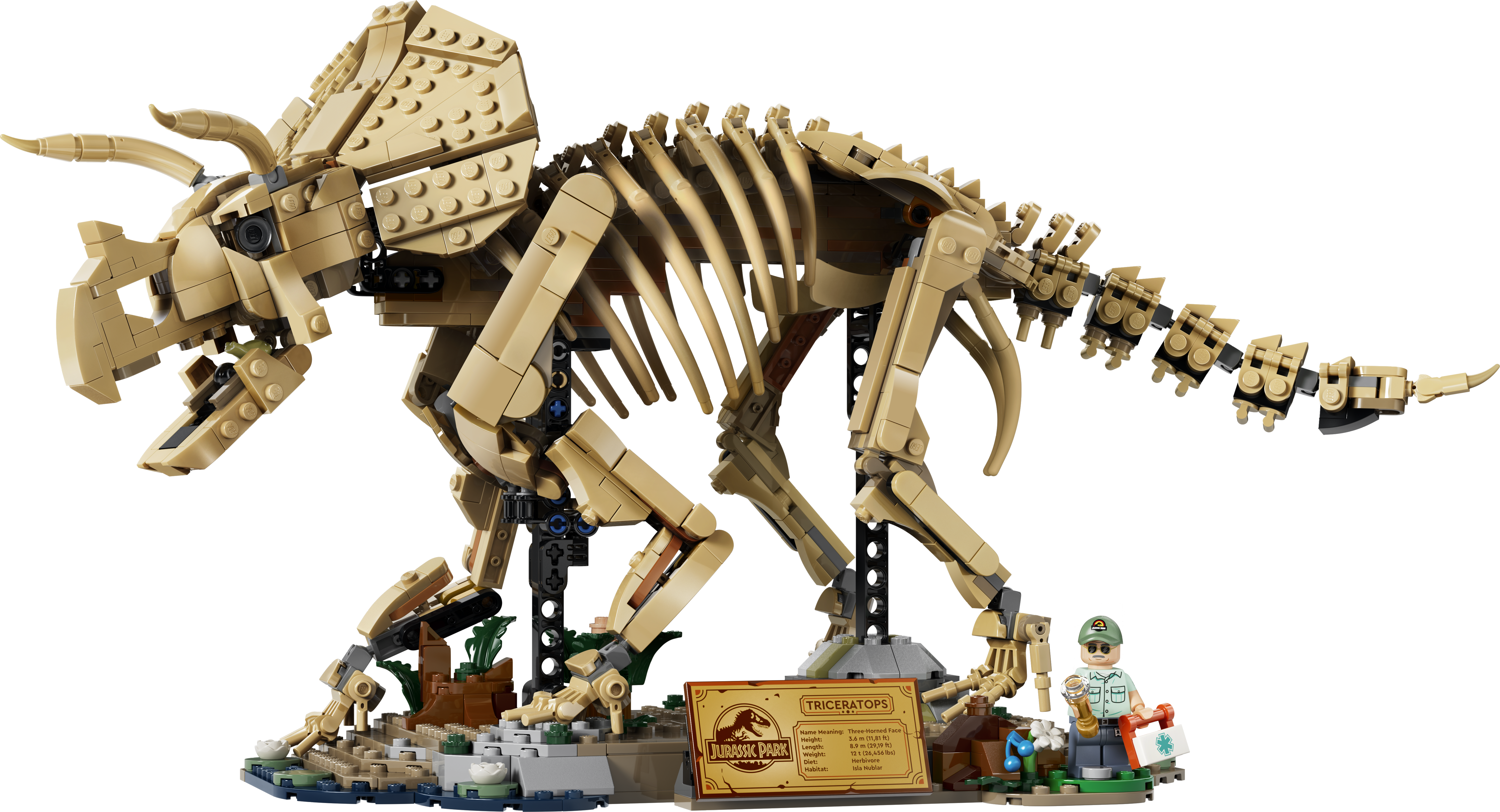 LEGO® Jurassic World Szkielety dinozaurów: triceratops 77985
