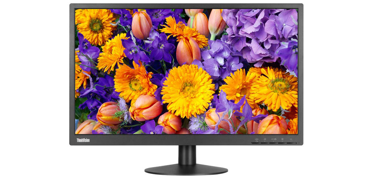 Monitor do domu i do biura Lenovo ThinkVision TE24-10