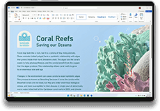 This is an example icon