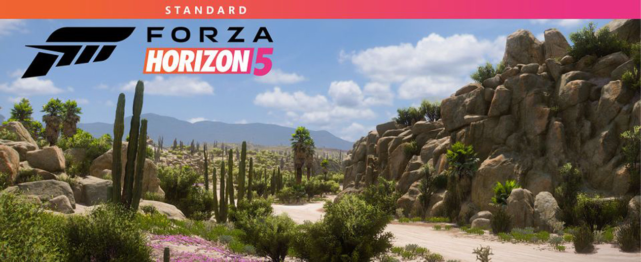Gra Forza Horizon 5 na Xbox One i Xbox Series X