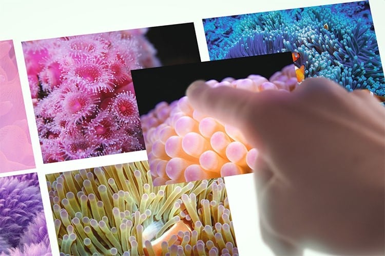 This is an example image