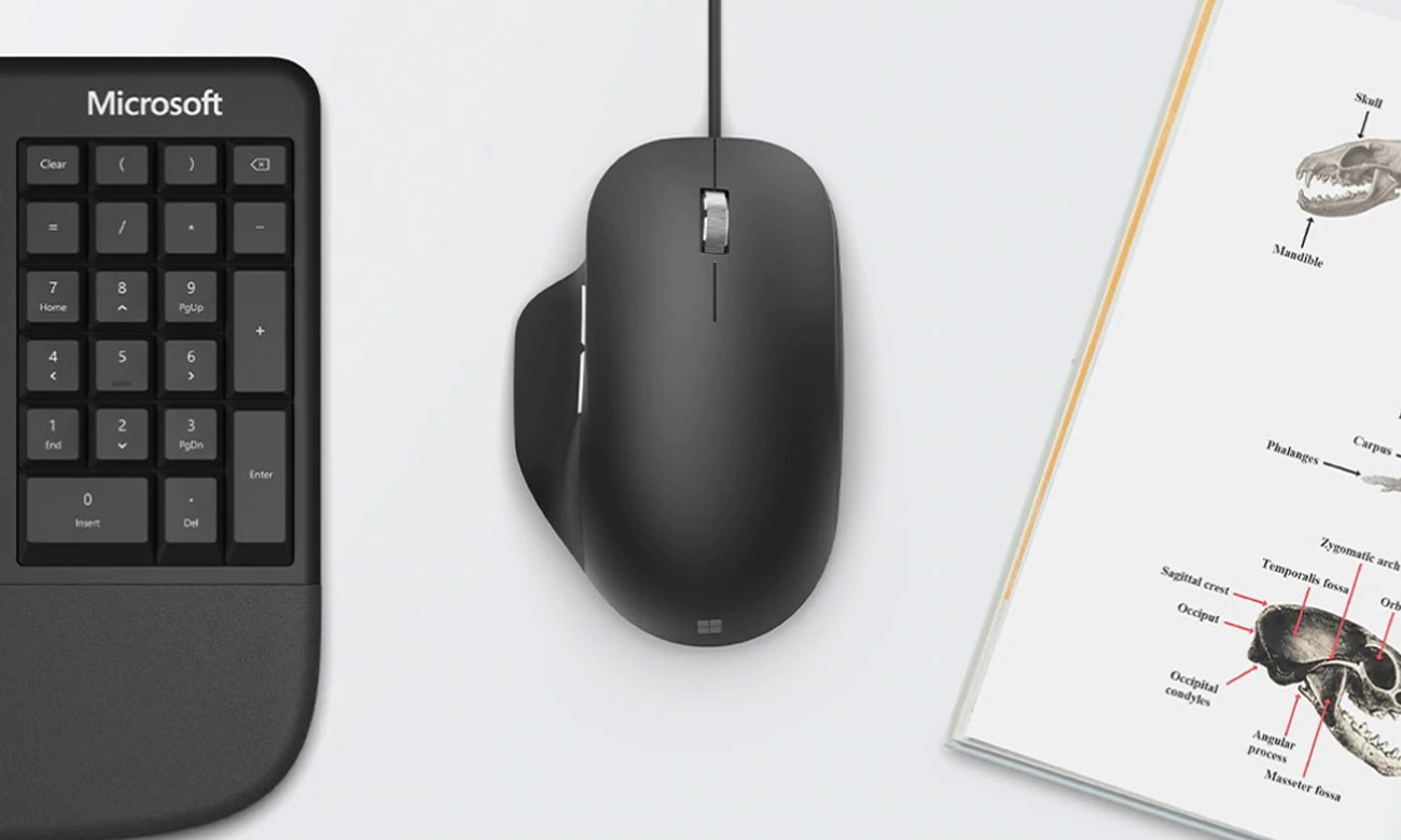 Mysz Microsoft Ergonomic