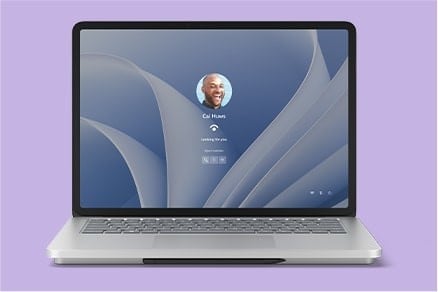 This is an example image