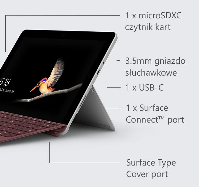microsoft surface laptop go dimensions
