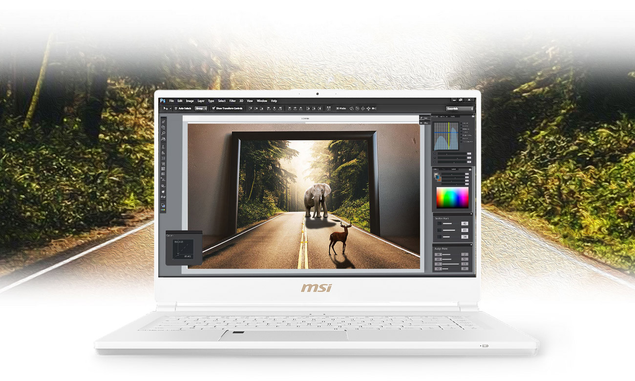 MSI P65 Creator 8RD MSI True Color