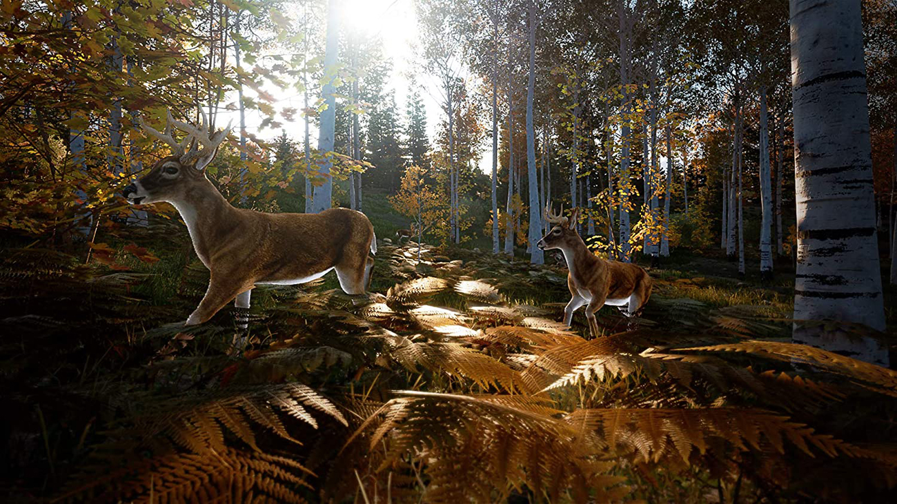 Gra Hunting Simulator 2 na Xbox Series X|S
