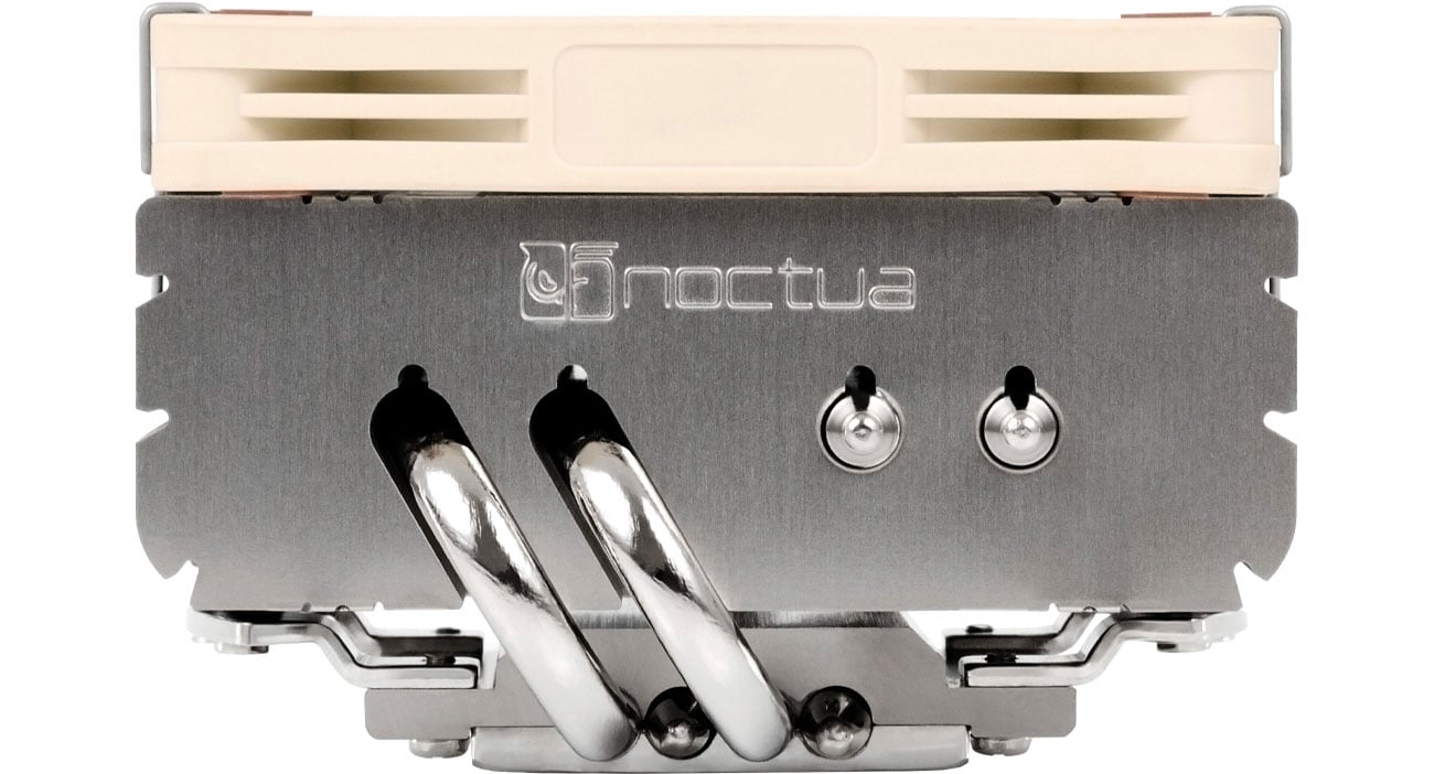 Noctua 