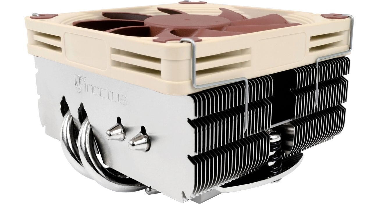 Noctua 