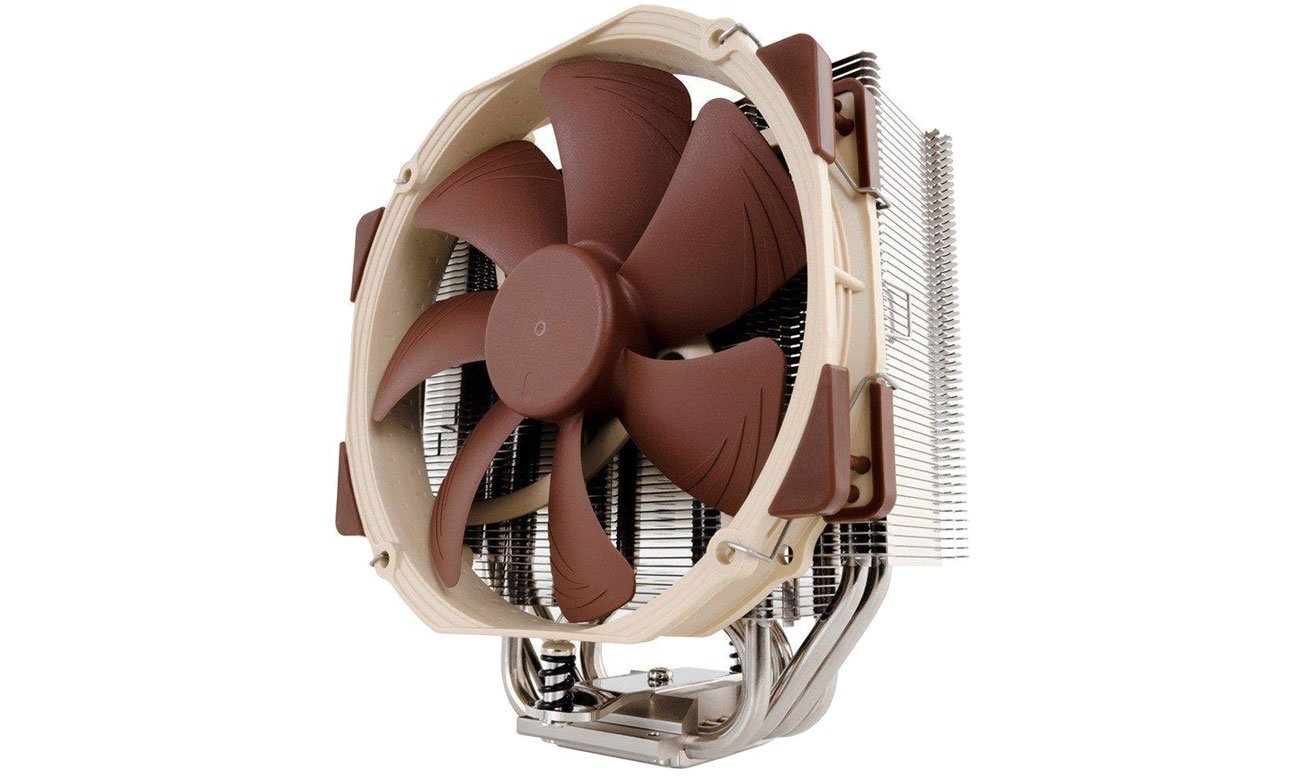 Noctua