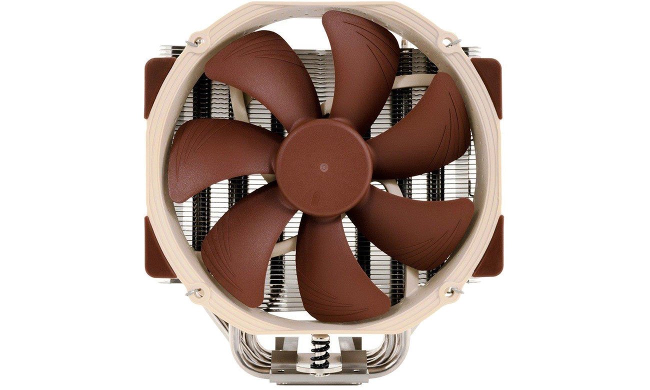 Noctua