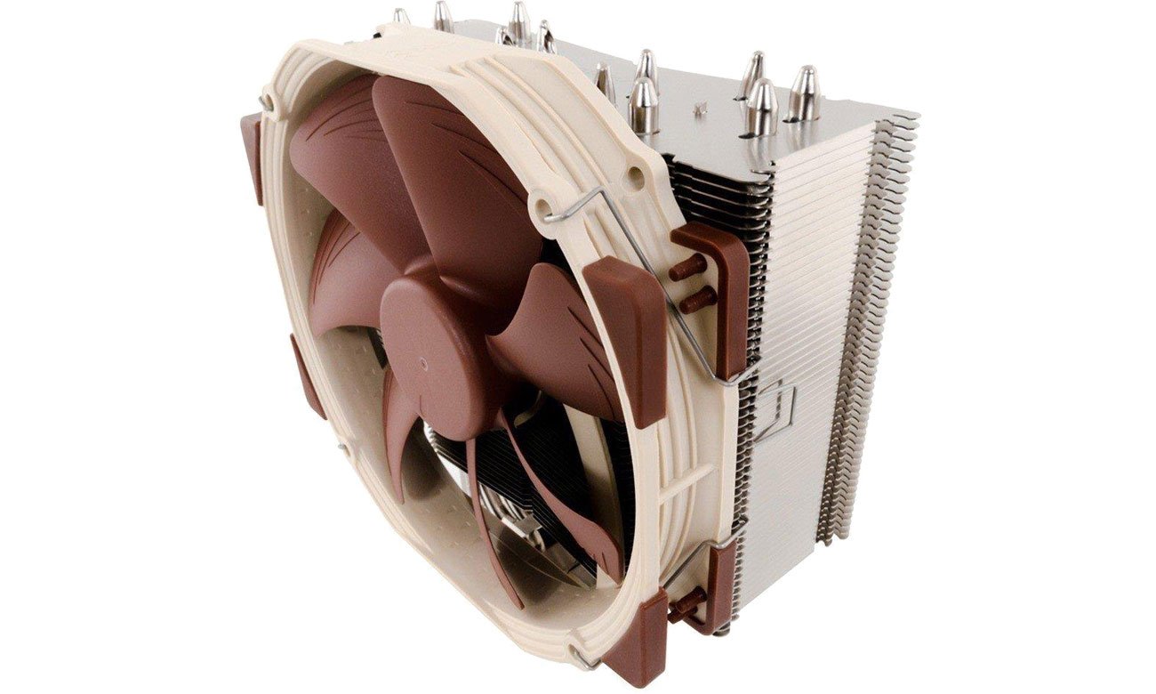 Noctua