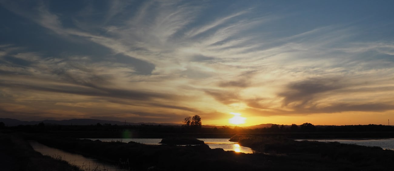 Olympus OM-D E-M5 II Pancake Kit czarny + 14-42 EZ