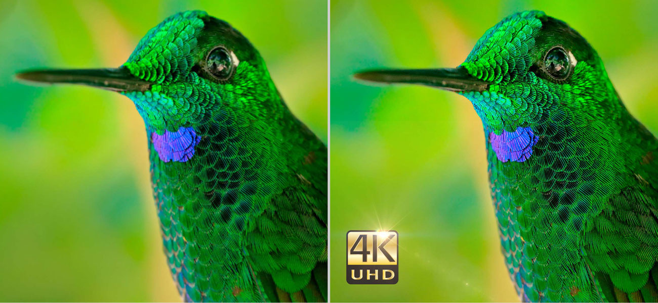 Optoma UHD300X DLP Rozdzielczość 4K UHD Rozdzielczość 4K UHD