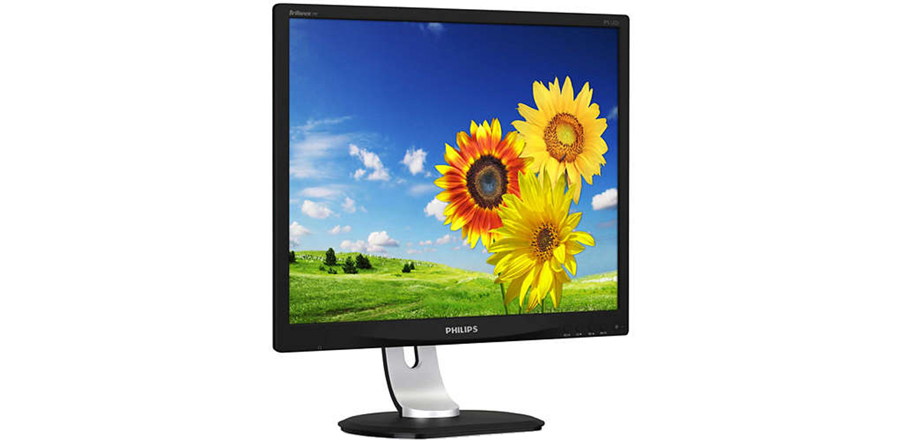 Philips 19P4QYEB/00 Połączenie DisplayPort