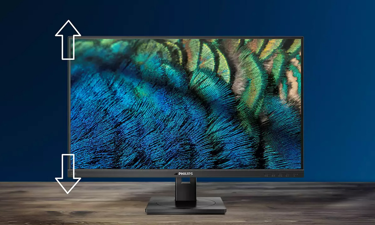 Philips 24E1N1300AE/00 regulacja