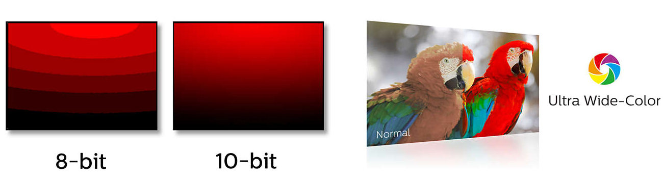 Philips BDM4037UW/93 doskonałe kolory