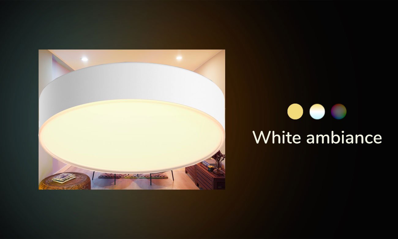 Philips Hue Enrave Small Weiße Deckenleuchte