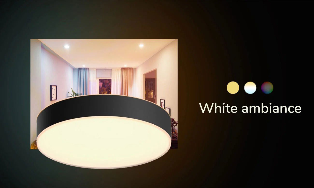 Philips Hue White Ambiance Enrave Large Schwarze Deckenleuchte