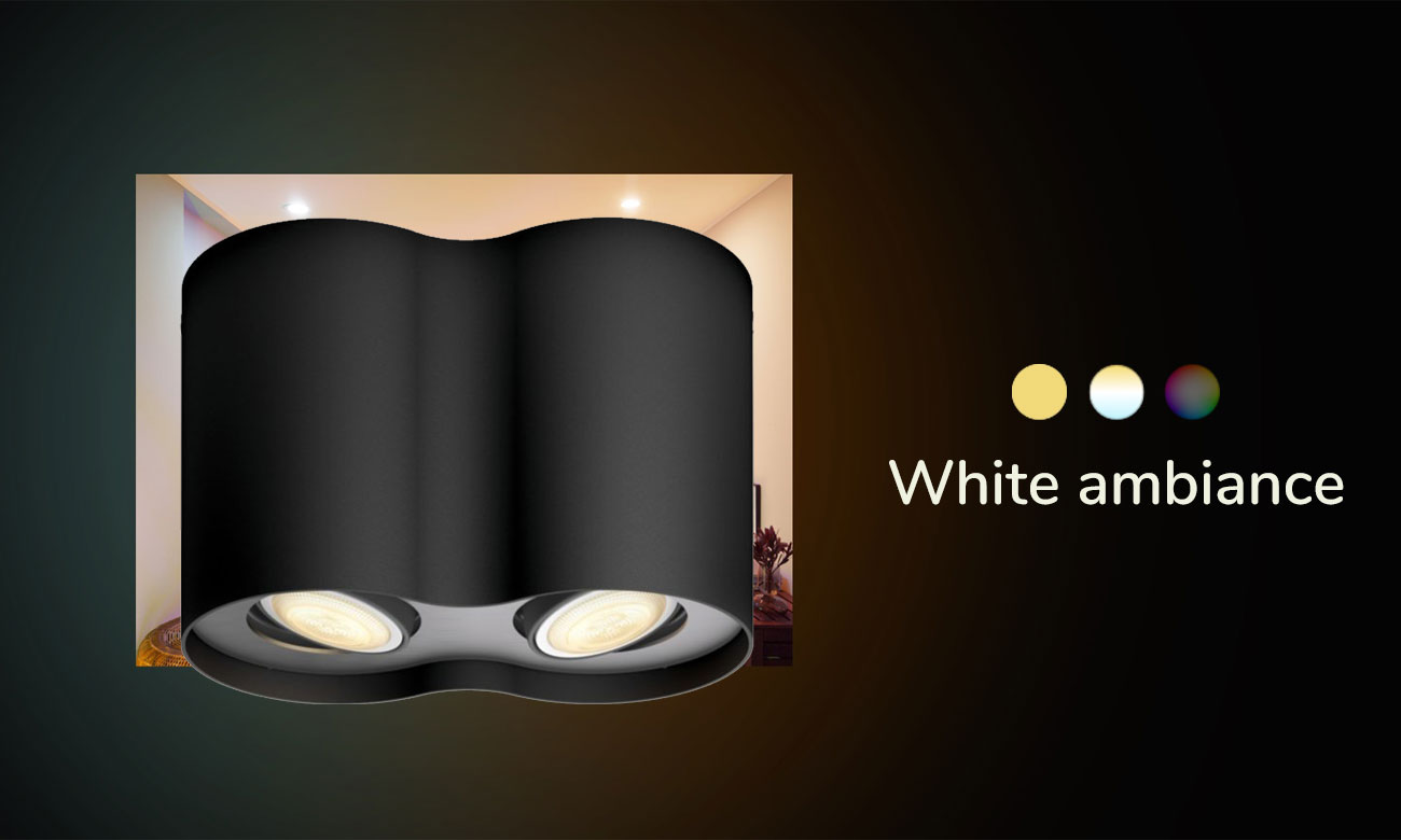 Podwójne oświetlenie punktowe Philips Hue Pillar Czarne