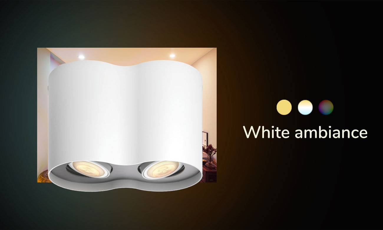 Podwójne oświetlenie punktowe Philips Hue Pillar Białe
