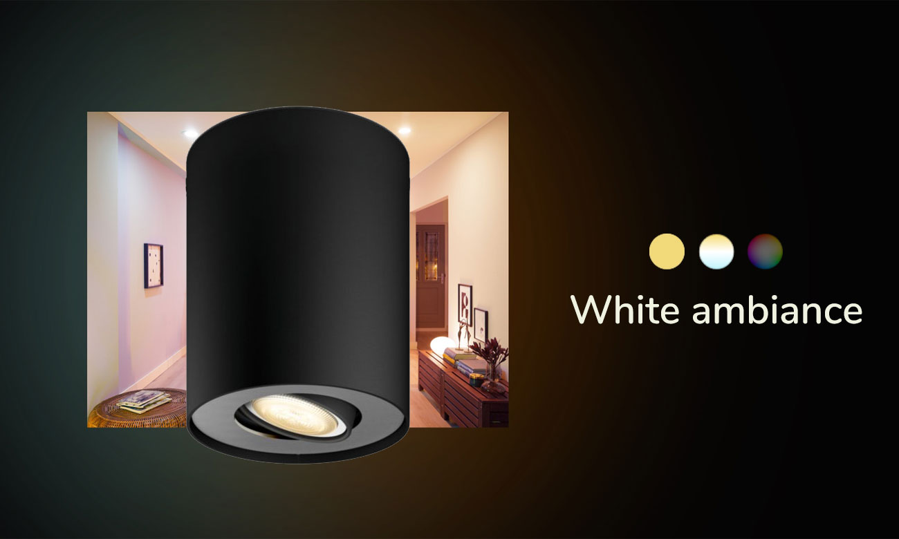 Pojedynczy reflektor punktowy Philips Hue Pillar Czarny
