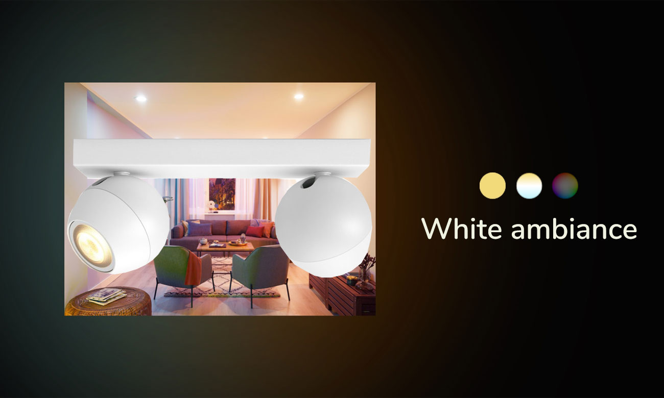 Podwójne oświetlenie punktowe Philips Hue Buckram Białe