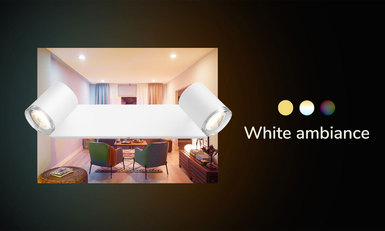 Łazienkowe oświetlenie punktowe Philips Hue Adore