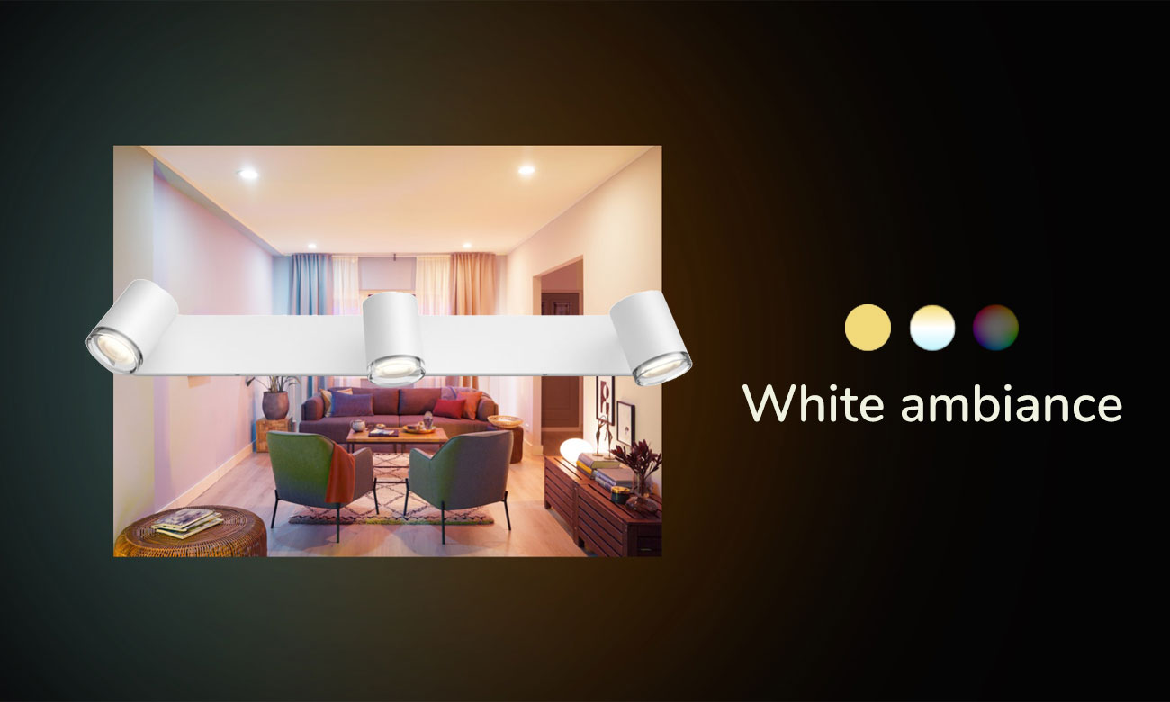 Łazienkowe oświetlenie punktowe Philips Hue Adore