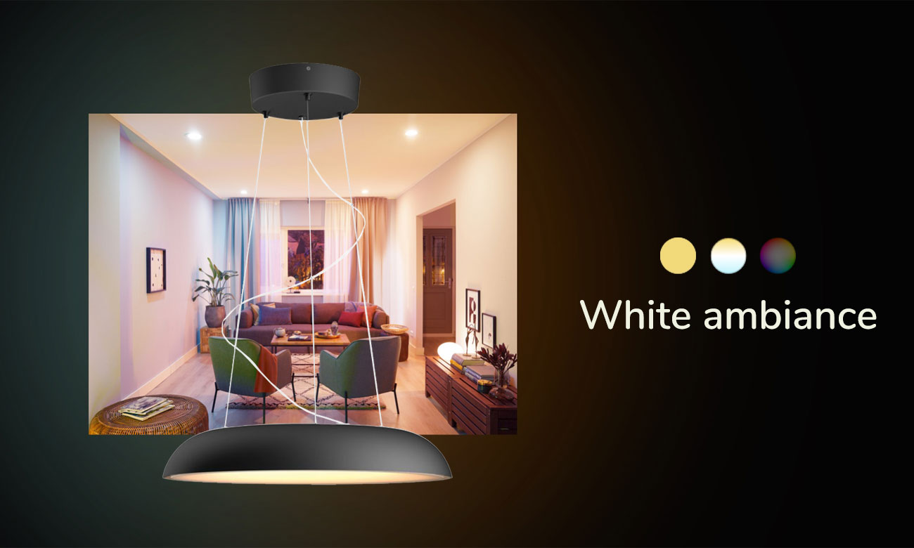 Lampa wisząca Philips Hue Amaze Czarna